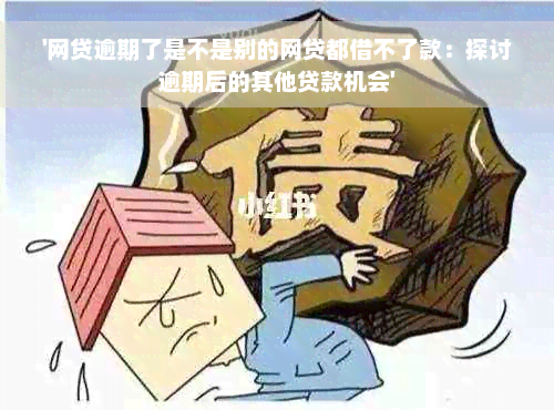 '网贷逾期了是不是别的网贷都借不了款：探讨逾期后的其他贷款机会'