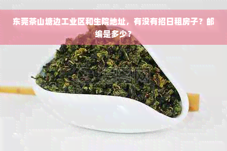 东莞茶山塘边工业区和生院地址，有没有招日租房子？邮编是多少？