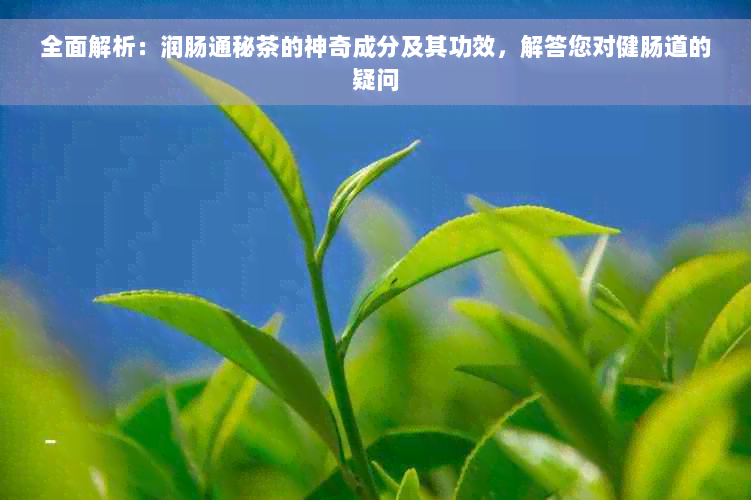 全面解析：润肠通秘茶的神奇成分及其功效，解答您对健肠道的疑问