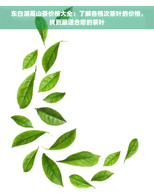 东白湖高山茶价格大全：了解各档次茶叶的价格，找到最适合您的茶叶