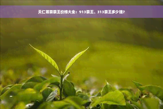 天仁茗茶茶王价格大全：913茶王、313茶王多少钱？