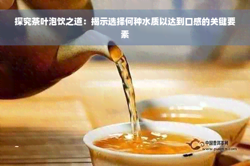 探究茶叶泡饮之道：揭示选择何种水质以达到口感的关键要素