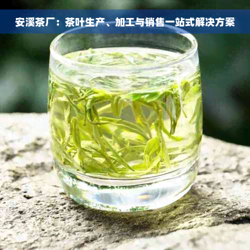 安溪茶厂：茶叶生产、加工与销售一站式解决方案