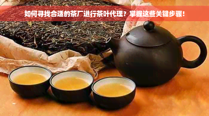 如何寻找合适的茶厂进行茶叶代理？掌握这些关键步骤！