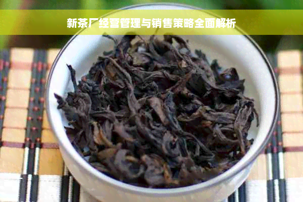 新茶厂经营管理与销售策略全面解析