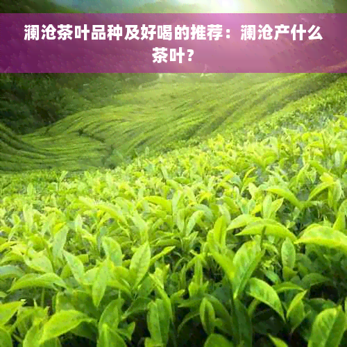 澜沧茶叶品种及好喝的推荐：澜沧产什么茶叶？