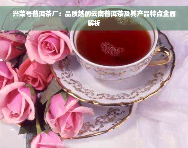 兴荣号普洱茶厂：品质越的云南普洱茶及其产品特点全面解析