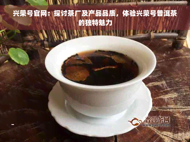 兴荣号官网：探讨茶厂及产品品质，体验兴荣号普洱茶的独特魅力