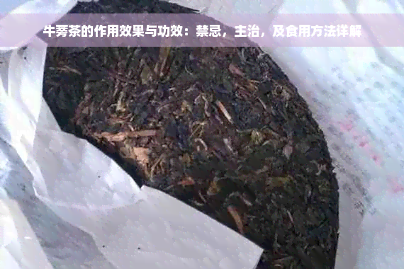 牛蒡茶的作用效果与功效：禁忌，主治，及食用方法详解