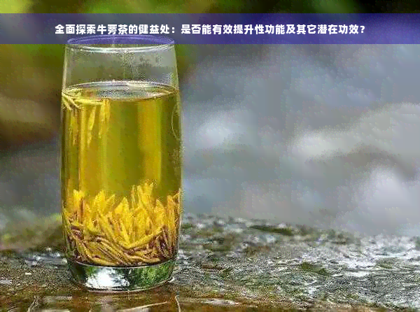 全面探索牛蒡茶的健益处：是否能有效提升性功能及其它潜在功效？