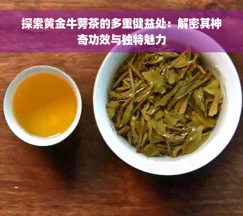 探索黄金牛蒡茶的多重健益处：解密其神奇功效与独特魅力