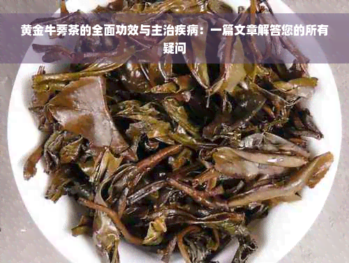 黄金牛蒡茶的全面功效与主治疾病：一篇文章解答您的所有疑问