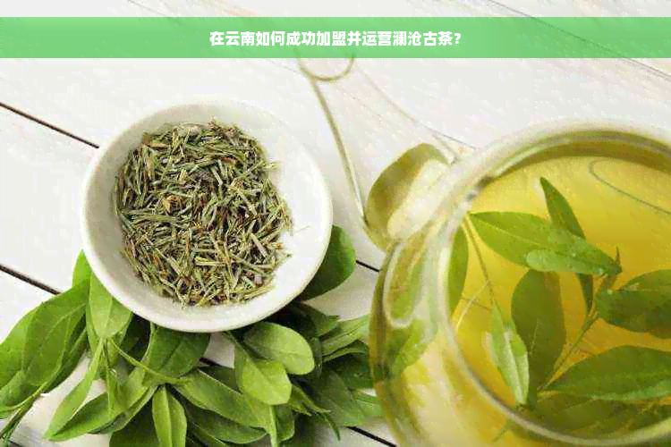 在云南如何成功加盟并运营澜沧古茶？