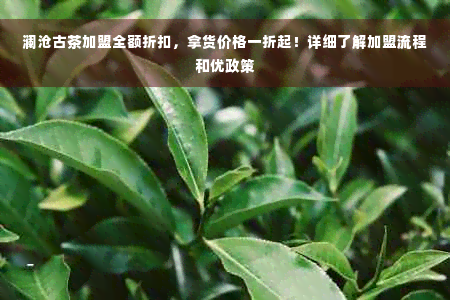 澜沧古茶加盟全额折扣，拿货价格一折起！详细了解加盟流程和优政策