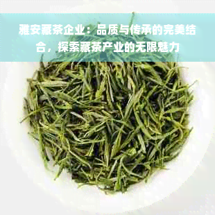 雅安藏茶企业：品质与传承的完美结合，探索藏茶产业的无限魅力