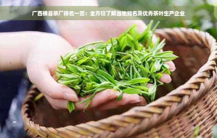 广西横县茶厂排名一览：全方位了解当地知名及优秀茶叶生产企业