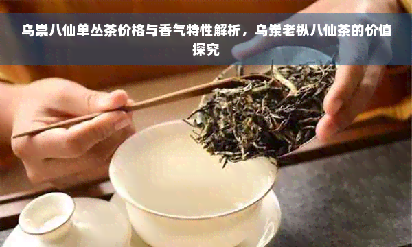 乌崇八仙单丛茶价格与香气特性解析，乌岽老枞八仙茶的价值探究