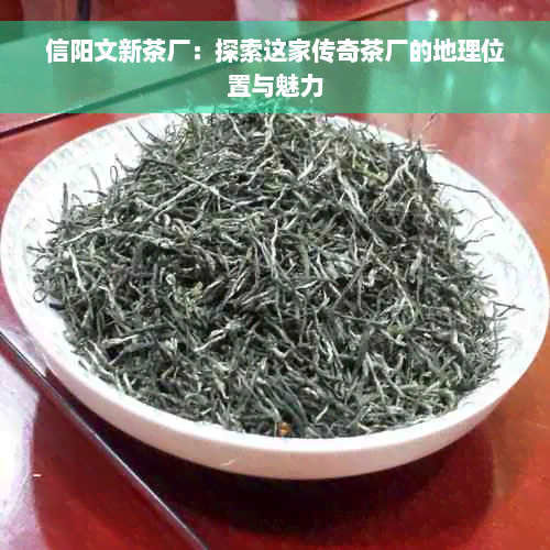 信阳文新茶厂：探索这家传奇茶厂的地理位置与魅力