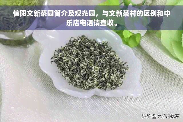 信阳文新茶园简介及观光园，与文新茶村的区别和中乐店电话请查收。