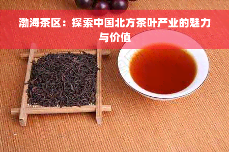 渤海茶区：探索中国北方茶叶产业的魅力与价值