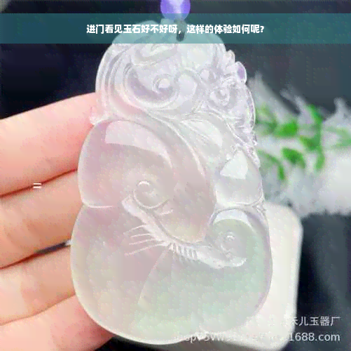 进门看见玉石好不好呀，这样的体验如何呢？