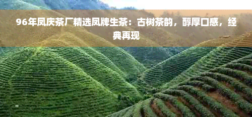 96年凤庆茶厂精选凤牌生茶：古树茶韵，醇厚口感，经典再现