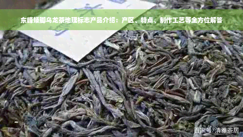 东峰矮脚乌龙茶地理标志产品介绍：产区、特点、制作工艺等全方位解答