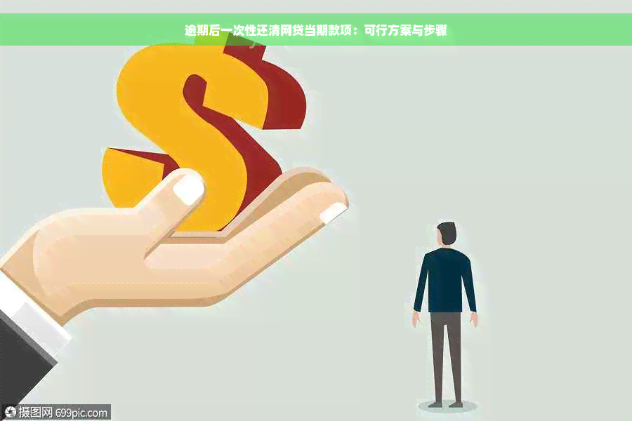 逾期后一次性还清网贷当期款项：可行方案与步骤