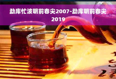 勐库忙波明前春尖2007-勐库明前春尖2019