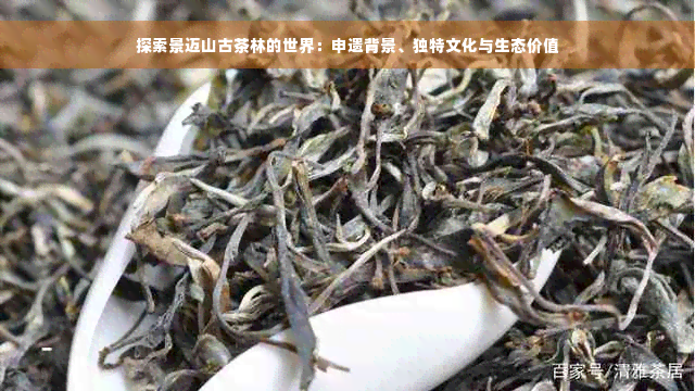 探索景迈山古茶林的世界：申遗背景、独特文化与生态价值