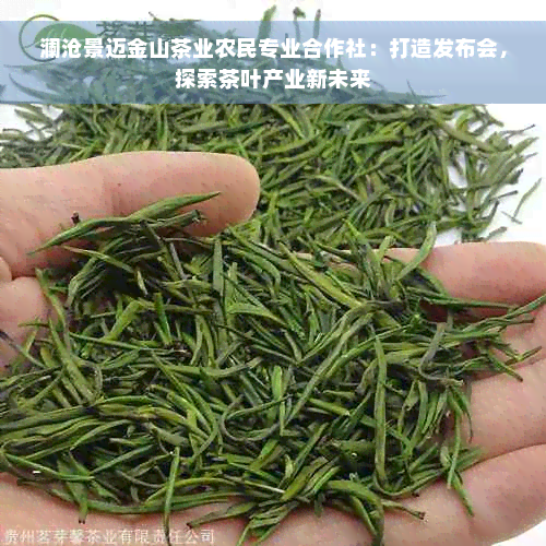 澜沧景迈金山茶业农民专业合作社：打造发布会，探索茶叶产业新未来