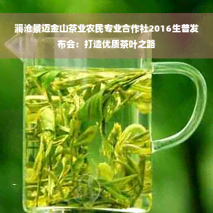 澜沧景迈金山茶业农民专业合作社2016生普发布会：打造优质茶叶之路