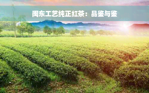 闽东工艺纯正红茶：品鉴与鉴