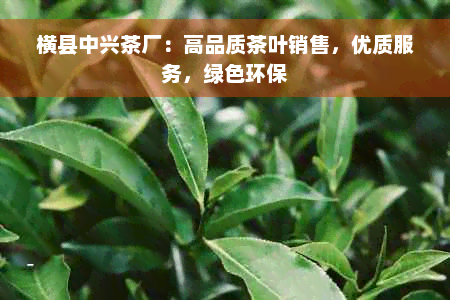 横县中兴茶厂：高品质茶叶销售，优质服务，绿色环保