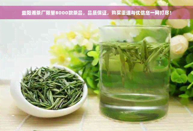 益阳湘茶厂限量8000款茶品，品质保证，购买渠道与优信息一网打尽！