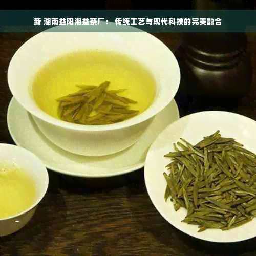 新 湖南益阳湘益茶厂： 传统工艺与现代科技的完美融合