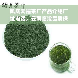 凤庆天福茶厂产品介绍厂址电话，云南临沧品质保证！