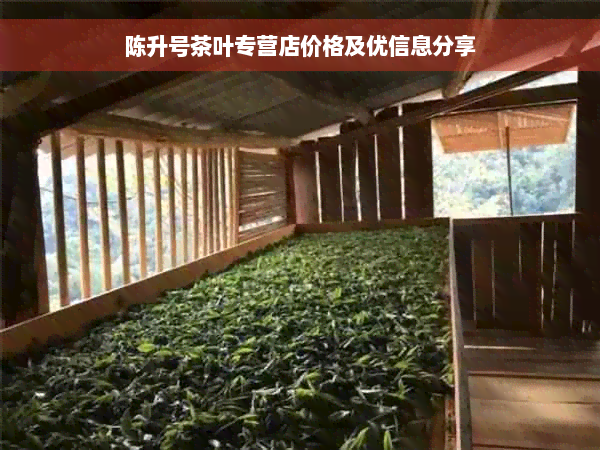 陈升号茶叶专营店价格及优信息分享