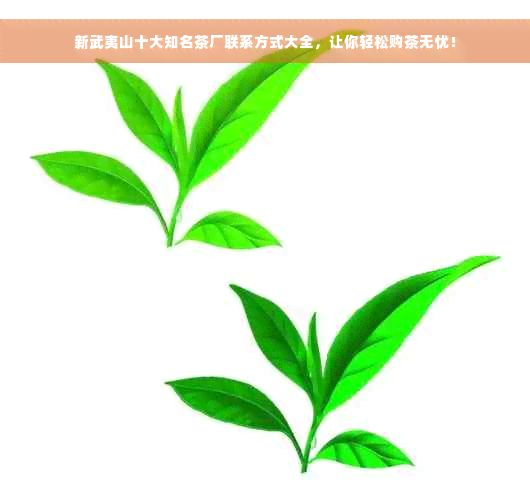 新武夷山十大知名茶厂联系方式大全，让你轻松购茶无忧！