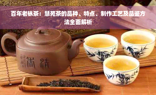 百年老枞茶：慧苑茶的品种、特点、制作工艺及品鉴方法全面解析