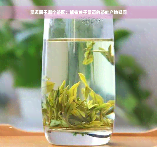 景迈属于哪个茶区：解答关于景迈的茶叶产地疑问