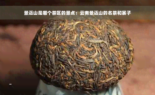 景迈山是哪个茶区的景点：云南景迈山的名茶和寨子