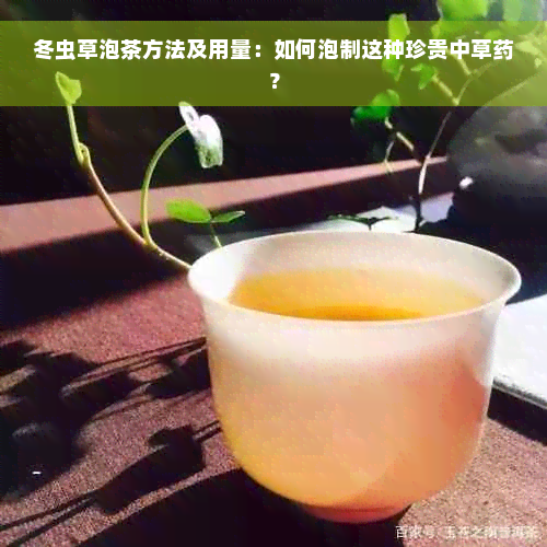 冬虫草泡茶方法及用量：如何泡制这种珍贵中草药？