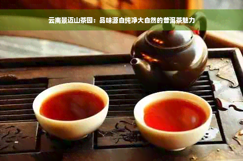 云南景迈山茶园：品味源自纯净大自然的普洱茶魅力