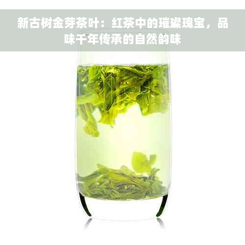 新古树金芽茶叶：红茶中的璀璨瑰宝，品味千年传承的自然韵味