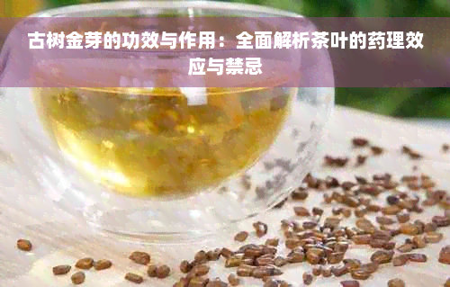 古树金芽的功效与作用：全面解析茶叶的药理效应与禁忌