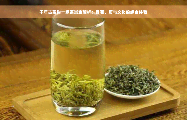 千年古茶树一级茶景全解析：品茗、历与文化的综合体验