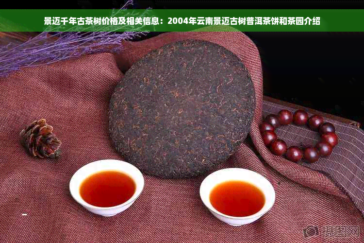 景迈千年古茶树价格及相关信息：2004年云南景迈古树普洱茶饼和茶园介绍