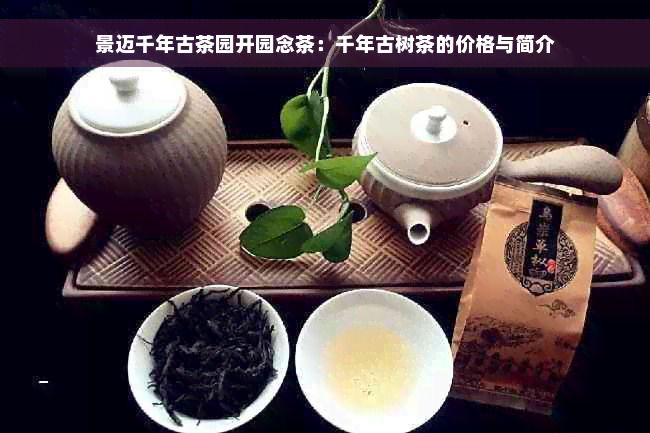 景迈千年古茶园开园念茶：千年古树茶的价格与简介