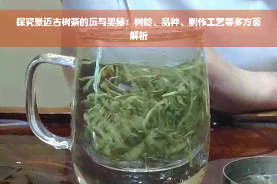 探究景迈古树茶的历与奥秘：树龄、品种、制作工艺等多方面解析